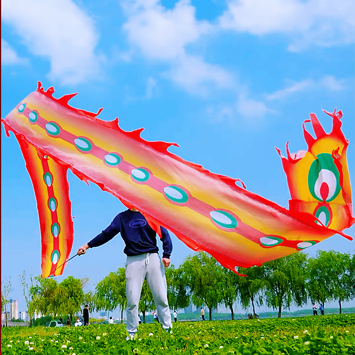 19.6ft Washable Silk-like Dragon Poi for Kids & Adults, 6 meters of Outdoor Flinging Fitness Dance with 3D Rainbow Color Dragon Ribbon Streamer Set