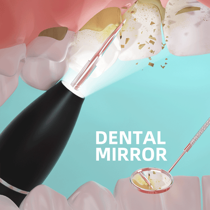 Sonic Electric Dental Plaque Remover
