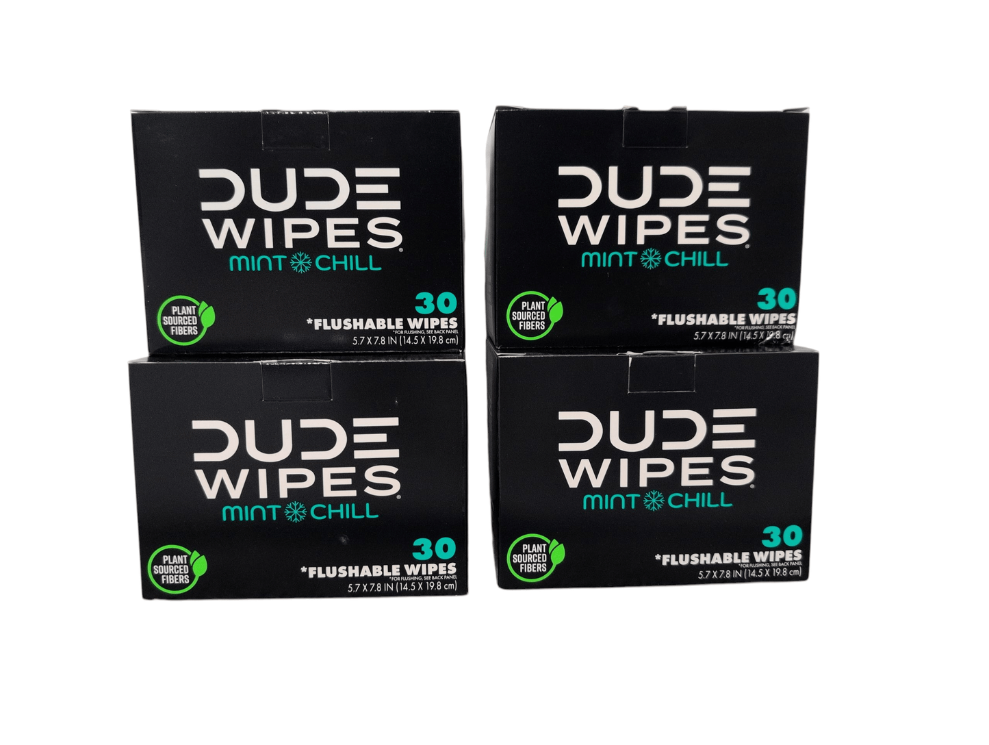 DUDE Wipes XL Flushable Wipes – Fragrance Free, Hypoallergenic Adult Wipes (400 CT / 480 CT)