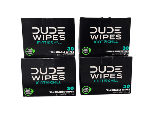 DUDE Wipes XL Flushable Wipes – Fragrance Free, Hypoallergenic Adult Wipes (400 CT / 480 CT)