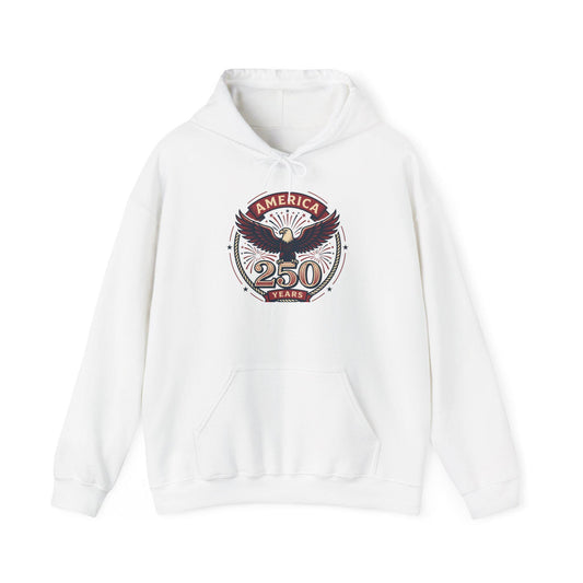 America 250 Years Eagle Graphic Hoodie | Fireworks Backprint
