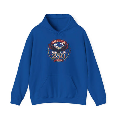 America 250 Years Eagle Graphic Hoodie | Fireworks Backprint