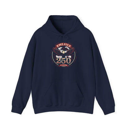 America 250 Years Eagle Graphic Hoodie | Fireworks Backprint