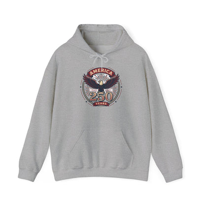 America 250 Years Eagle Graphic Hoodie | Fireworks Backprint