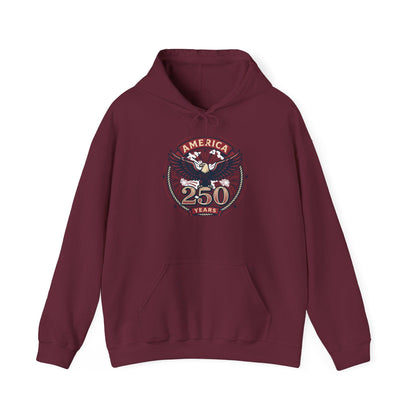 America 250 Years Eagle Graphic Hoodie | Fireworks Backprint