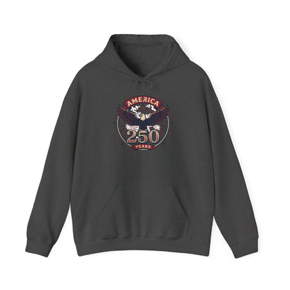 America 250 Years Eagle Graphic Hoodie | Fireworks Backprint