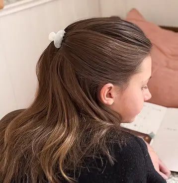 Claw Clip