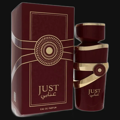 Just Anabi By Fragrance World Perfume for Women