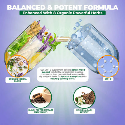 DHH-B Supplement - Bioactive Magnolia Bark Extract