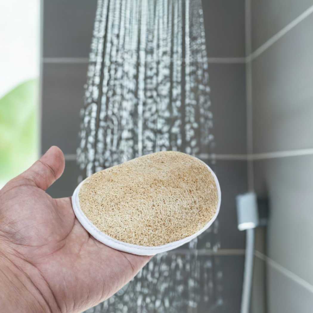 Natural Loofah