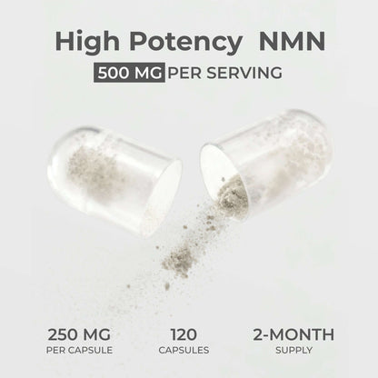 NMN Capsules 500MG