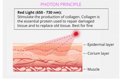 Shape Tactics 5-in-1 RF Cavitation Body Contouring System