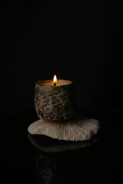 Souchong Debut Earthen Tallow Candle – Fog-Glazed Regional Clay 4 oz